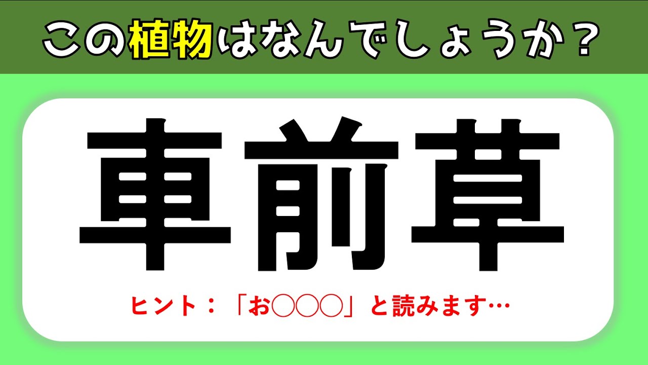 Download 植物の難読漢字 難しいけど面白い問題 難問揃いの漢字読みク Daily Movies Hub