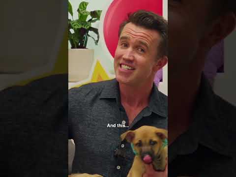 Ryan Reynolds wants to come home with you