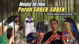 Download lagu Modal 10 ribu BURUNG jadi GACOR SUARA MENGKRISTAL||Untuk semua jenis burung mp3