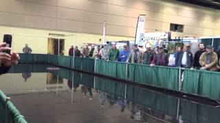 Joe Humphreys Casting Demo | The Fly Fishing Show