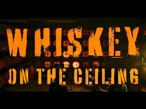 WHISKEY ON THE CEILING - Myles Erlick (Official Music Video)