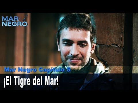 ¡El Tigre del Mar! - Mar Negro Las Escenas