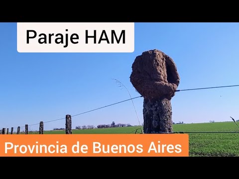 Paraje rural HAM, en el partido de General Arenales - provincia de Buenos Aires 