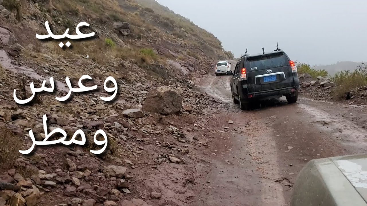 خاص للمغتربين  عيد وعرس ومطر 