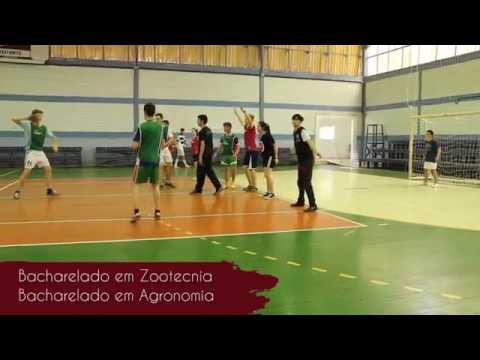 Processo Seletivo 2017:1   IFRS Campus Sertão