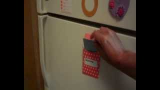 DEERS, WOODPECKER, AND DEAD POSSUM