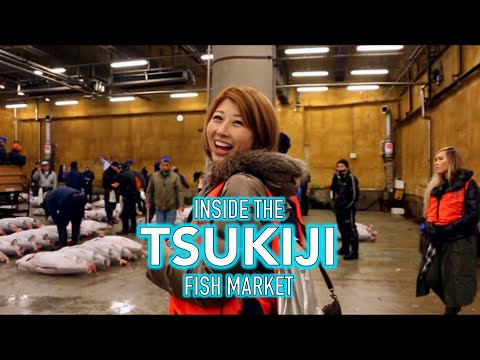 當地人對築地魚市的介紹! (A local's guide to the Tsukiji Fish market!)