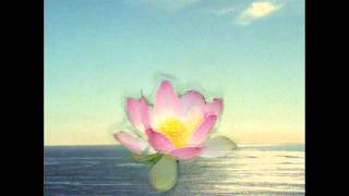 Lotus Blossom (Michael Franks) cover-Aleta Greene and Paul Soroka
