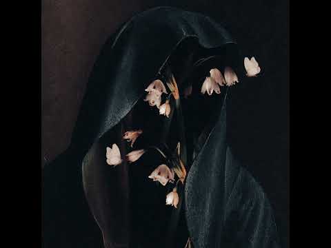 Hail the Void - Writing on the Wall (Official Audio)