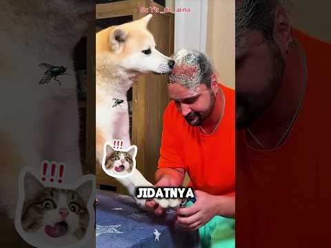 Trik gokil memotong kuku hewan peliharaan 😱⁉