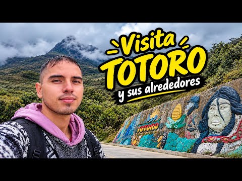 Visita TOTORO Cauca y sus veredas 🛣️🌧️🥔