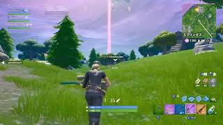のんびりフォートナイト