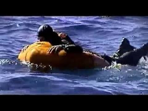 Ray Mears' Extreme Survival S02E06 - Desert Island Survival