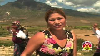 la pulguita
