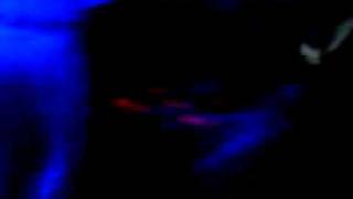 MOV00939