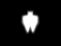 TWC Dimension Logo