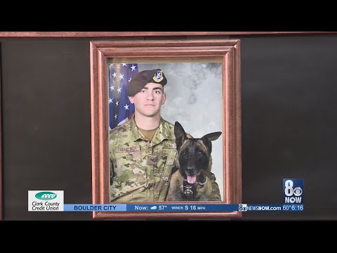 Military dogs honored for National K9 Veterans Day