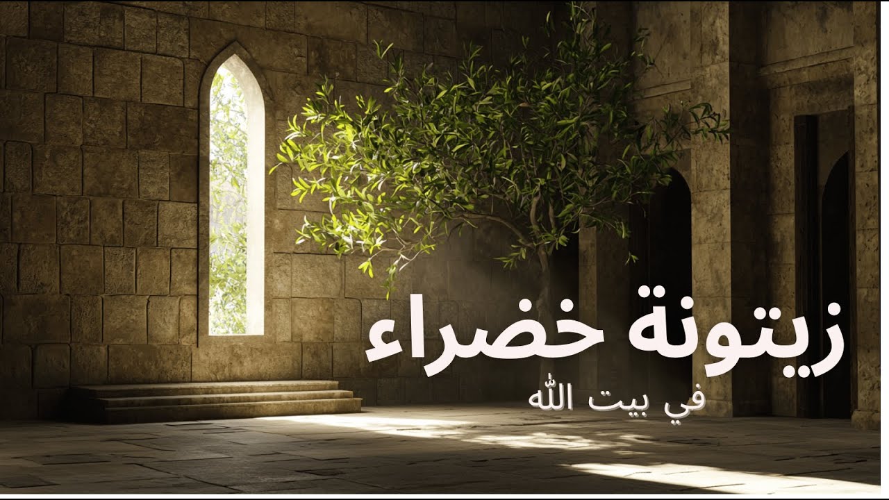 فيديو تفسير الكتاب المقدس | الكتاب المقدس رفيقي