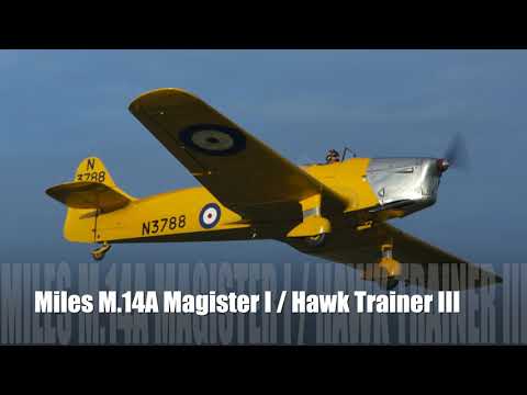 Miles Magister/Hawk Trainer III