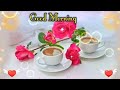 Good Morning Status Good Morning Shayari Good Morning Video Good Morning