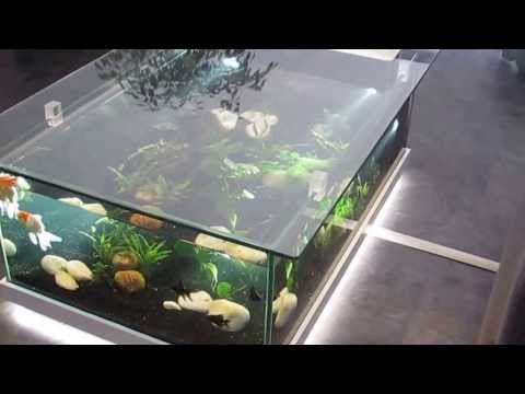 comment construire un aquarium d'eau douce