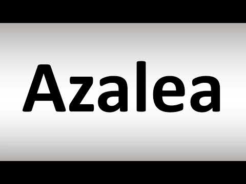 How to Pronounce Azalea