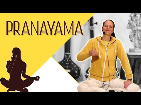 Pranayama für Fortgeschrittene mit Chitra - Yoga Vidya Live 06:00 Uhr - 17.11.2020