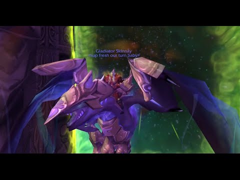 Skinnay 2 - TBC Gladiator Hunter PvP