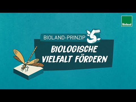 Bioland-Prinzip 5: Biologische Vielfalt in der Landwirtschaft fördern - Biodiversität, Artenvielfalt