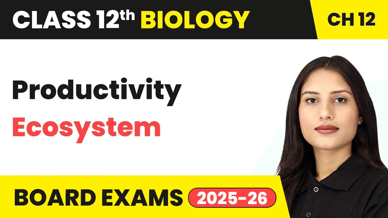 Productivity - Ecosystem | Class 12 Biology Chapter 12 | CBSE 2024-25