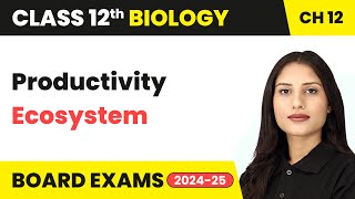 Productivity - Ecosystem | Class 12 Biology Chapter 12 | CBSE 2024-25