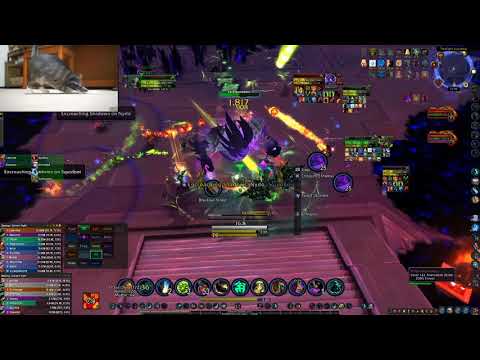 Heroic Vexiona - Brewmaster Tank POV