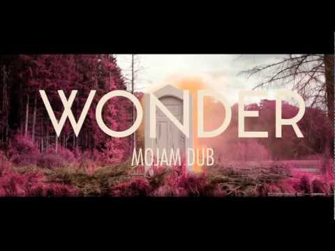 Naughty Boy - Wonder Ft Emeli Sandé (Mojam Dub Remix)