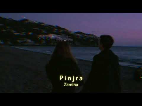Pinjra (Slowed+Reverb) | Jasmine Sandlas | Badshah | Dr Zeus | Zamina