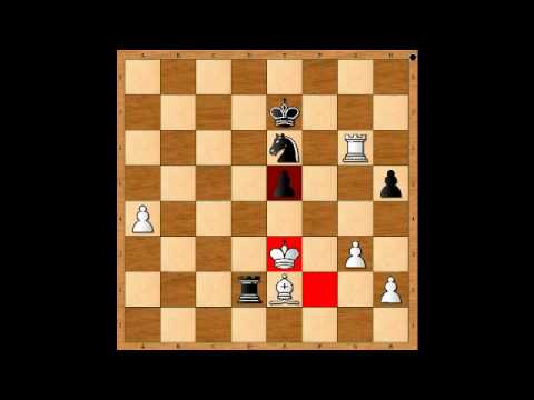 8.11. IM Michal Luch  - Olivier de Marchi 1/2 -1/2