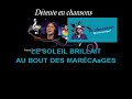 karaoké Paroles Le Chasseur (Les oies sauvages) Yann Muller