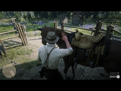Red Dead Redemption 2 mission David Geddes