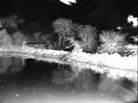 ID the Leopard at Djuma - Aug 17, 2011