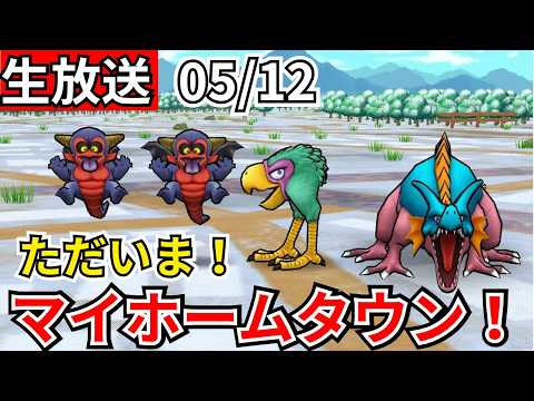 「ドラクエウォーク生放送！マイホームタウンに帰還しました！」