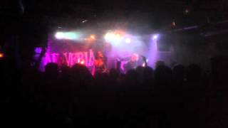 Cadaveria - Irrevelant Elegy (Brin de zinc)