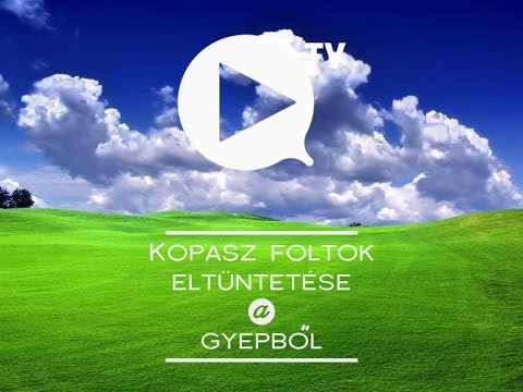 vastagbél méregtelenítő termékek