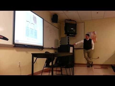 Chapter 13 (cardio) - (20oct2014)(2)