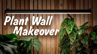 Plant Wall Disaster