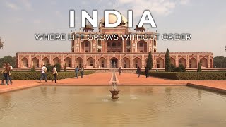 India: Where Life Grows Without Order
