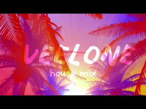 HOUSE MIX 2023 ( DJ VEELONE, TRAPHOUSE )