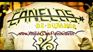 Los Canelos De Durango - El Melenas (Fiesta De Los Olivas Con Tuba)
