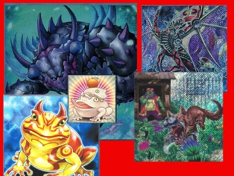 Paleozoic Frogs vs 60 Card Infernoids YGOPro Ranked Match 04/07/2017