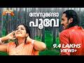 Thenundo Poove Yakshiyum Njaanum Movie Song Kaithapram Sajan Madhav