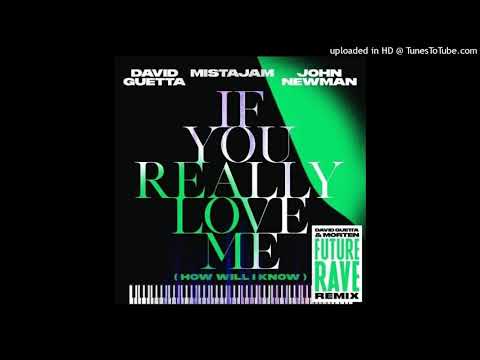 David Guetta X MistaJam X John Newman - If You Really Love Me (Future Rave Extended Remix)