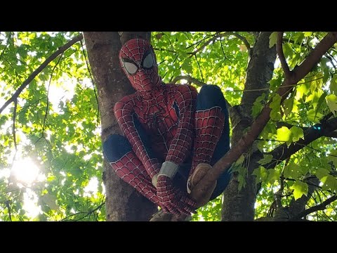 Spider-Man: Love Hurts - Trailer